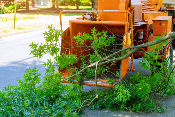 Best Lawn Maintenance Plans  in Konawa, OK